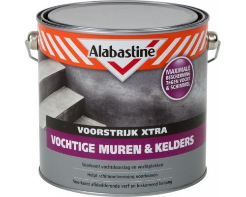 Paintmaster Alabastine 2In1 Muurverf Vochtige Muren En Kelders